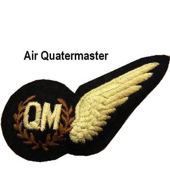 RAF Half Brevet Sew On Wing Brevets - main image