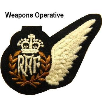 RAF Half Brevet Sew On Wing Brevets - main image