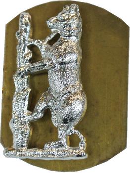 Warwickshire Yeomanry Staybright Collar badge