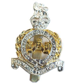 Devonshire Territorials - main image