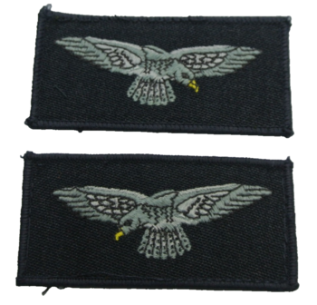 RAF shoulder eagles - main image