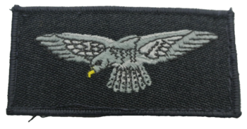 RAF shoulder eagles - main image