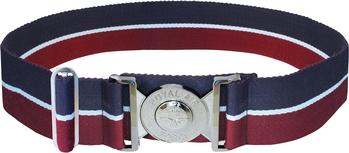 RAF Stable Belt Chrome Locket Belt Royal Air Force Ceremonial Belt, New - main image