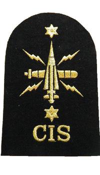 CIS Communication Information Systems Naval Badge - main image