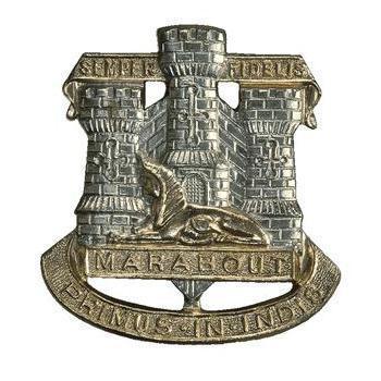 Devon And Dorset Regiment Cap Badge Various Styles - main image