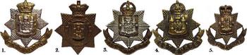 East Surrey Infantry Regiment Cap Badges - main image