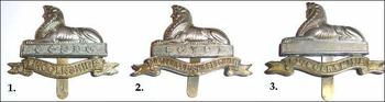 Royal Lincolnshire, Lincolnshire And Territorial Regiment Cap Badges - main image