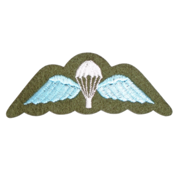 Para Cloth Badge Military Style Parachute Wings - main image
