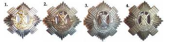 Royal Scots Cap Badges - main image