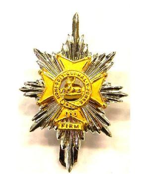 Worcestershire And Sherwood Foresters Cap Badges - main image