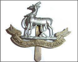 The Royal Warwickshire Regiment Cap Badge - main image
