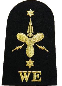 WE Weapons Engineering Royal Navy Badges - main image