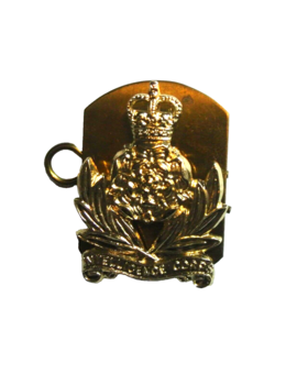Royal Army Intelligence Corps Staybright Collars  - main image