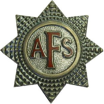 AFS Badge Auxiliary Fire Service Badges Cloth Or Metal - main image