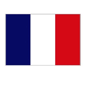 French Flag 5ft x 3ft - main image