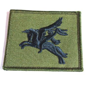 Subdued Combat Pegasus Cloth Badge - main image