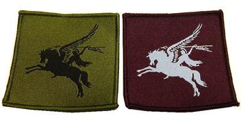 Airborne Pegasus Badge Single Woven Colour Or Subdued - main image