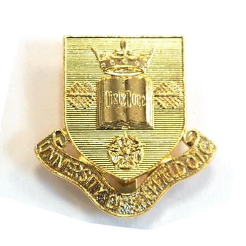 Sheffield OTC Cap Badge - main image