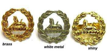 Gloucestershire Regiment Cap Badges And Back Badge - main image