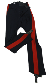 Wide Stripe Guards trousers - main image