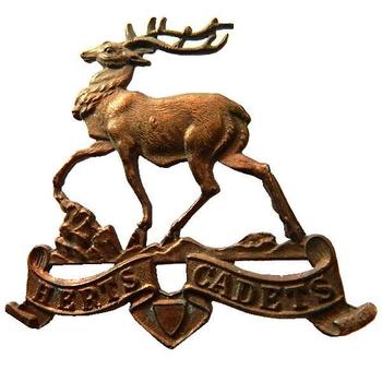 Herts Cadets Cap badge