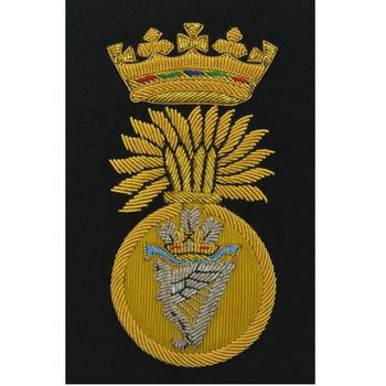 Royal Irish Fusiliers Blazer Badge - main image