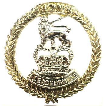 Mons officer cadet cap badge