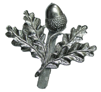 South Notts hussars - main image