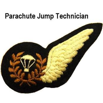 RAF Half Brevet Sew On Wing Brevets - main image