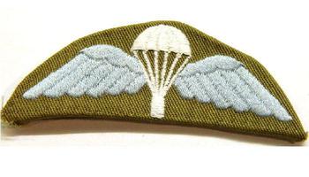 WWII Wartime Style Para Wings - Khaki - main image