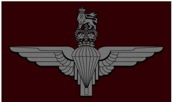 Parachute regiment 5ft x 3ft flag