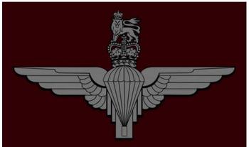 Parachute Regiment 5ft x 3ft Flag - main image