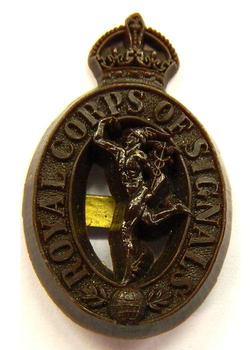 Plastic Signals wartime Economy badge
