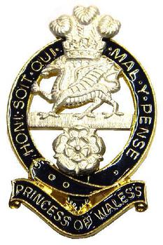 Princess Of Wales Royal Regiment (PWRR) - main image