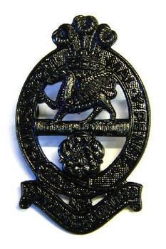 Princess Of Wales Royal Regiment (PWRR) - main image