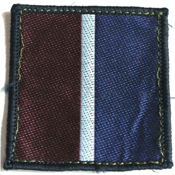 RAF Tactical recognition cloth sleeve badge