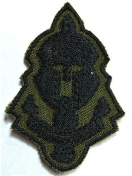 Reconnaissance Subdued And  Sand Beret Badges - main image
