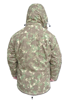 Romanian Parker - main image