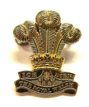 The Royal Welsh Cap Badge Formed March 2006 - main image