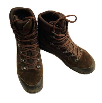Brown Gore-Tex Lowa Boots - main image