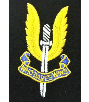 SAS Special air Service Blaze badge
