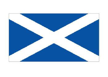 Scottish Flag St Andrews Flag 5' x 3' New Polyester - main image