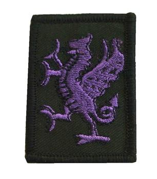 Regimental Div Signs And Flashes, Border, Kings, Fusiliers .. - main image