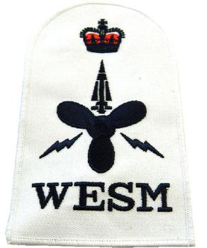 Naval Badge WESM Weapons Engineer Submariner Naval Cloth Badge - White Working Dress - main image