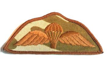 Desert Combat Colour Para Wings - main image
