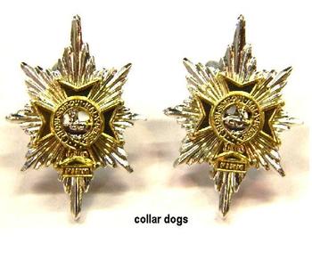 Worcestershire And Sherwood Foresters Cap Badges - main image