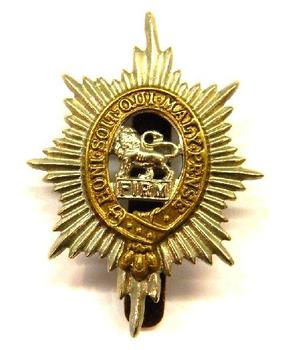 Worcestershire Regiment Cap Badge - main image