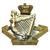 8th Kings Royal Irish Hussars cap badge