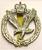 Army Air Corps AAC Cap badge Various Badges