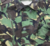 Aircrew Jacket Combat DPM Temperate Woodland Camo Heavyweight Jacket MK2A - thumbnail image 4